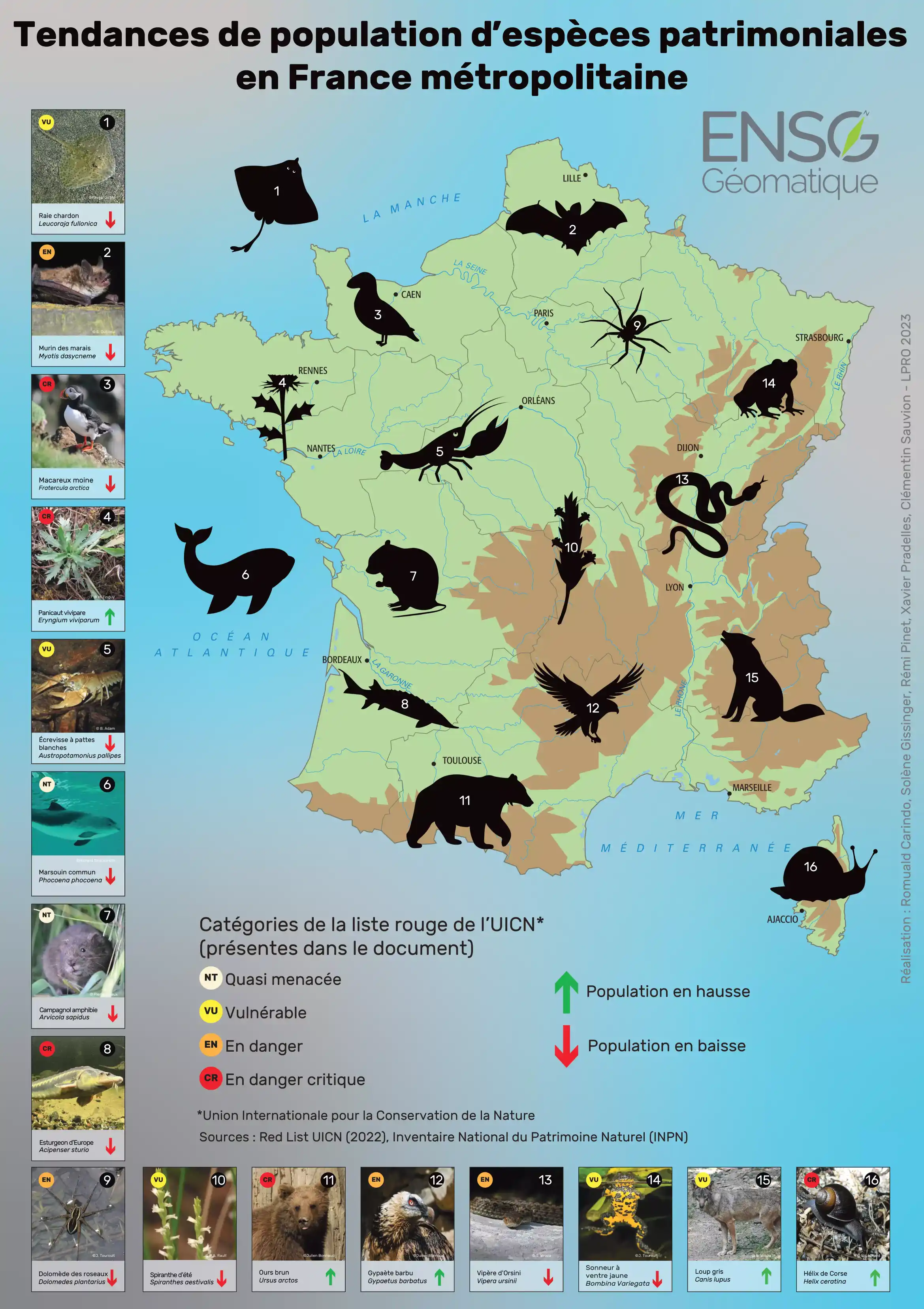 Carte d'espèces patrimoniales en France métropolitaine avec leurs évaluation UICN
